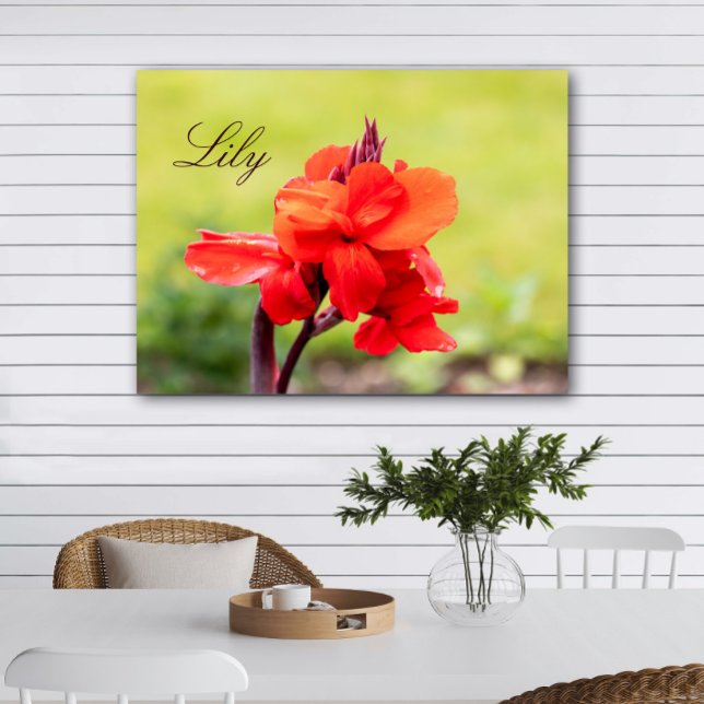 Affiche Nom personnalisé Lily rouge (Créateur téléchargé)