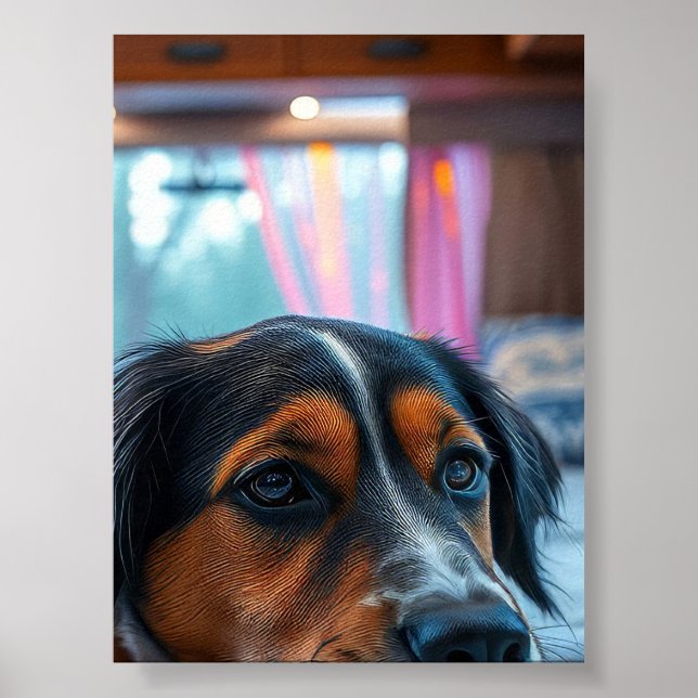 Affiche Nom : Rêves de Chien Endormi (Devant)