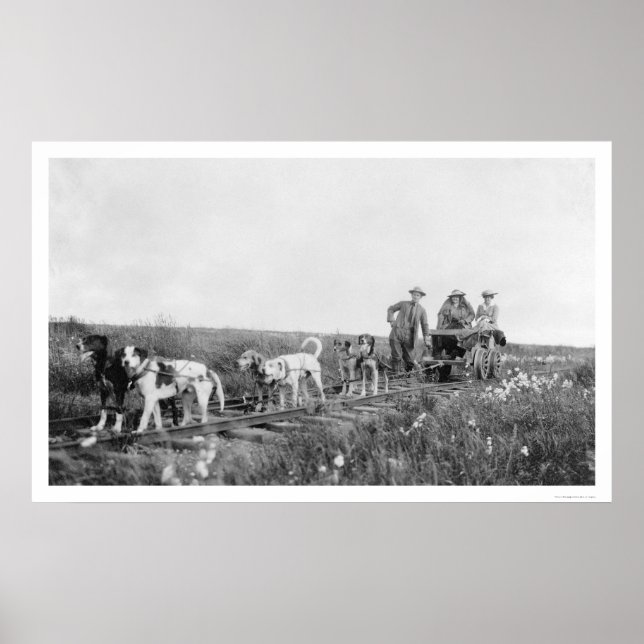 Affiche Nome du train de marionnettes, Alaska 1906 (Devant)