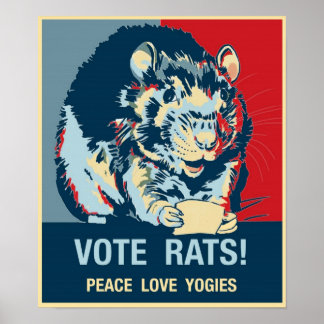 Affiche Nommez Votre PosterVote Rats !