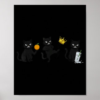 Affiche Non Non Rois Non GLACE Drôle Chat Noir