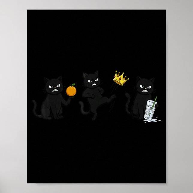Affiche Non Non Rois Non GLACE Drôle Chat Noir (Devant)