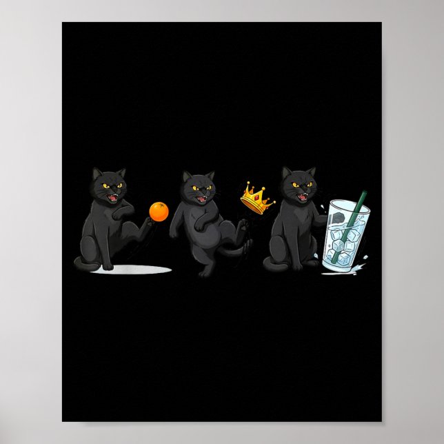 Affiche Non, pas de rois, pas de chat de glace mème politi (Devant)