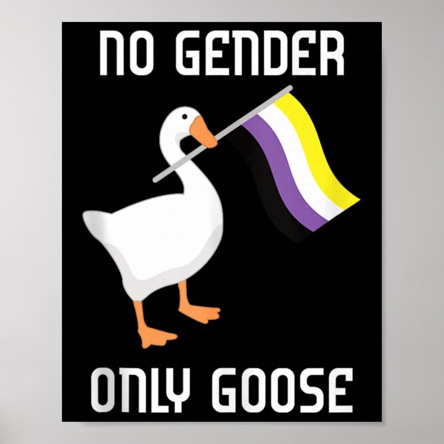 Affiche Nonbinary Goose No Gender Pride Flag Lgbtq Gay Pri (Devant)