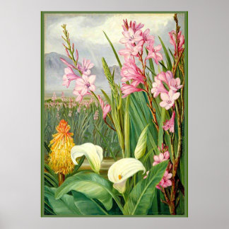 Affiche Nord - Beautés des marais, art botanique