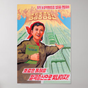 Affiche nord-coréenne sur la propagande