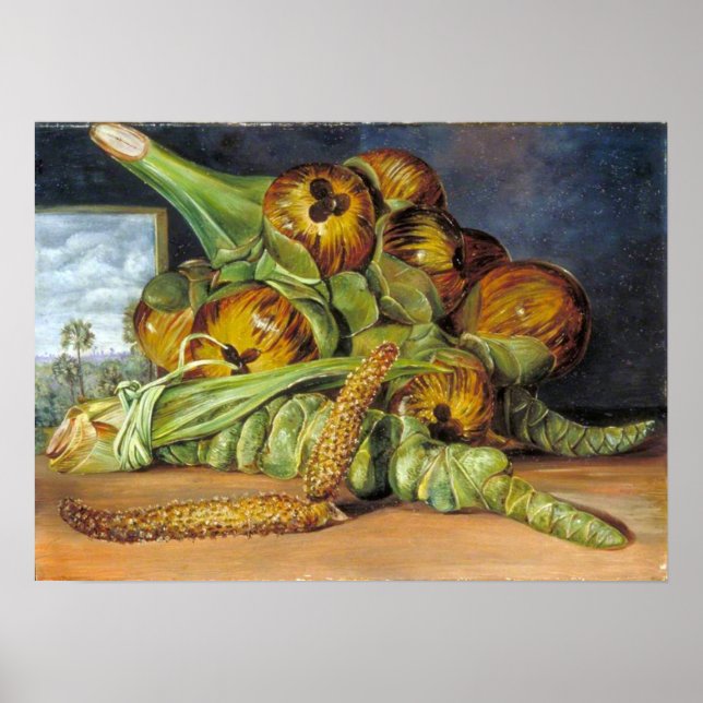 Affiche Nord - Fleurs, Fruits, Palmier Palmyra, Java 1870 (Devant)
