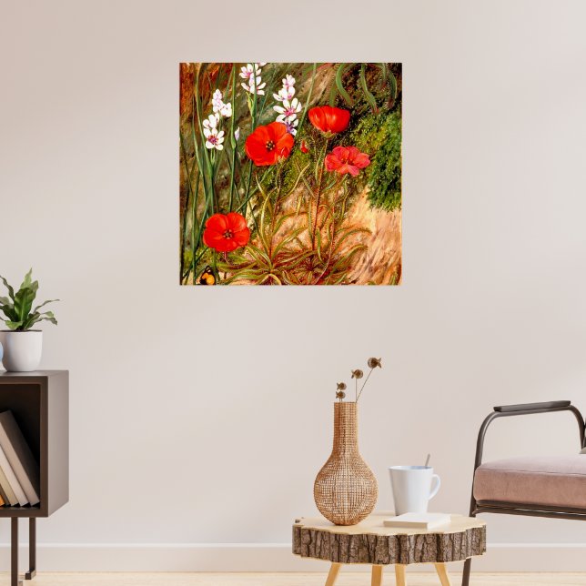 Affiche Nord - Un Sundew sud-africain (Salon 3)