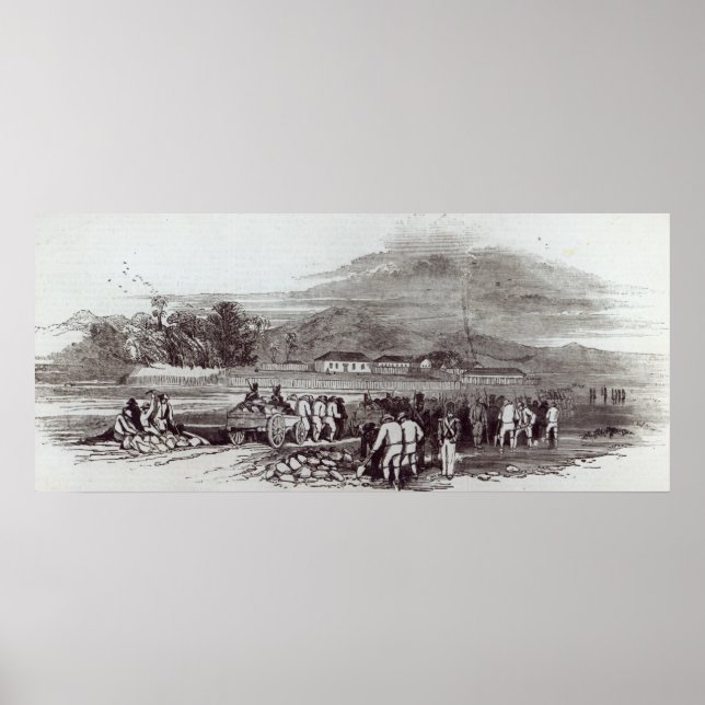 Affiche Norfolk Island (Devant)