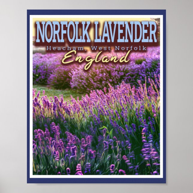 AFFICHE NORFOLK LAVENDER - LAVENDER FIELD NORFOLK ANGLETER (Devant)