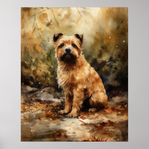 Affiche Norfolk Terrier Dog Art Imprimer l'affiche