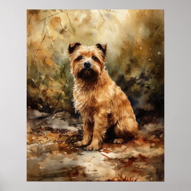 Affiche Norfolk Terrier Dog Art Imprimer l'affiche (Devant)
