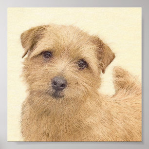 Affiche Norfolk Terrier Peinture - Art Chien original