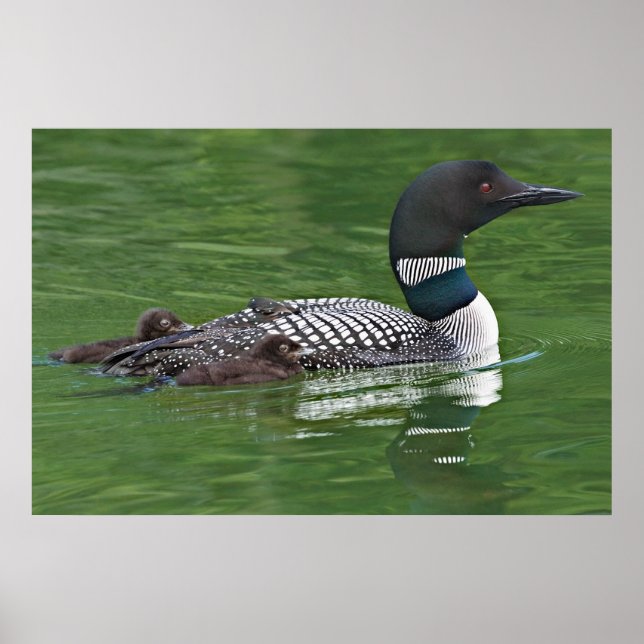 Affiche North America, Canada, British Columbia, Lac 2 (Devant)