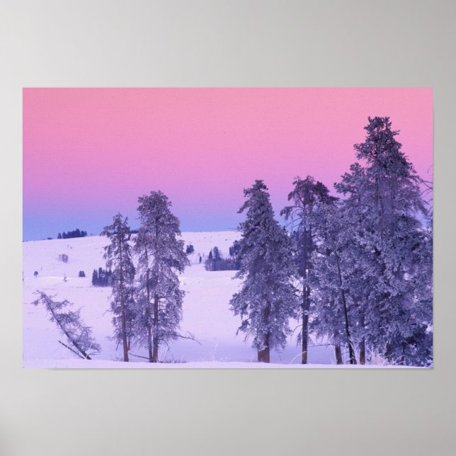 Affiche North America, USA, Montana, Yellowstone (Devant)