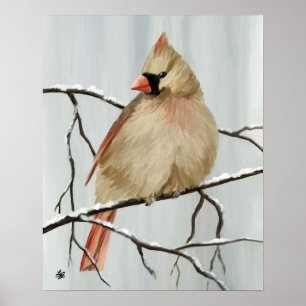 Affiche Northern Cardinal Bird In Winter