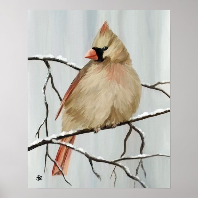 Affiche Northern Cardinal Bird In Winter (Devant)