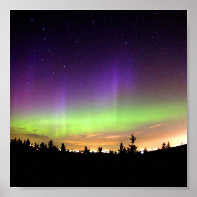 Affiche Northern Lights (Devant)