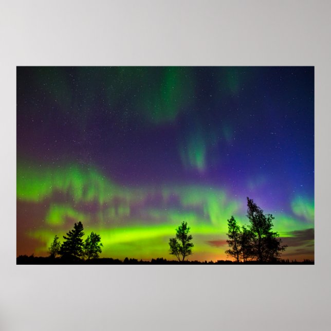 Affiche Northern Lights | Manitoba Canada (Devant)