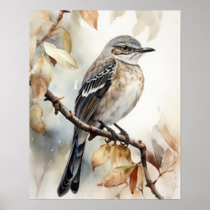Affiche Northern Mockingbird Bird Art Imprimer l'affiche