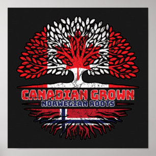 Affiche Norvège Norvégien Canadien Drapeau des racines de 