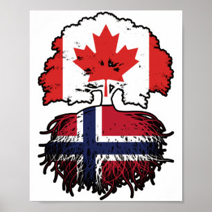 Affiche Norvège Norvégien Canadien Drapeau des racines de 