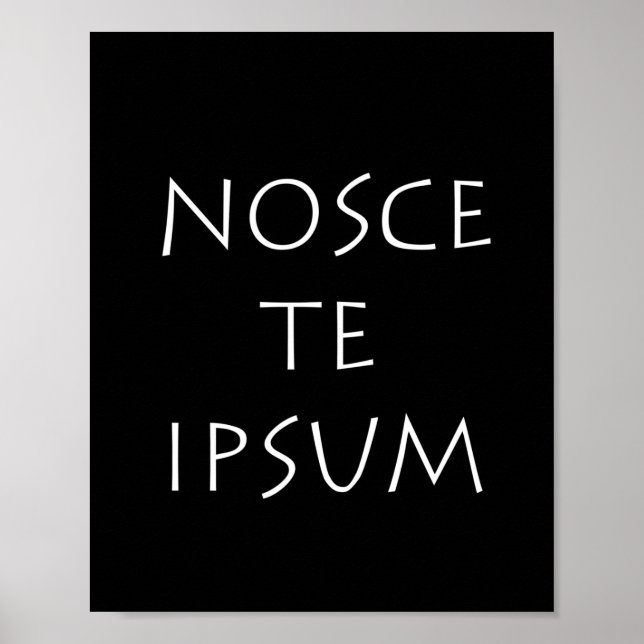 Affiche Nosce et ipsum (Devant)