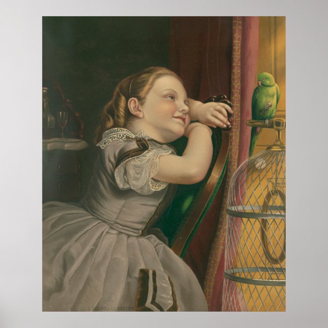 Affiche Notre Animal Polly (Devant)