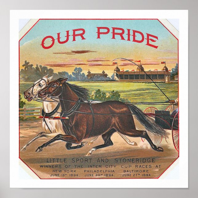 Affiche Notre fierté Vintage Race Horse (Devant)