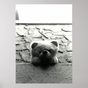 Affiche Nounours semi-transparent