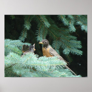 Affiche Nourrir bébé