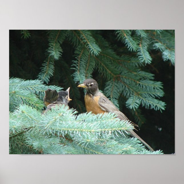 Affiche Nourrir bébé (Devant)