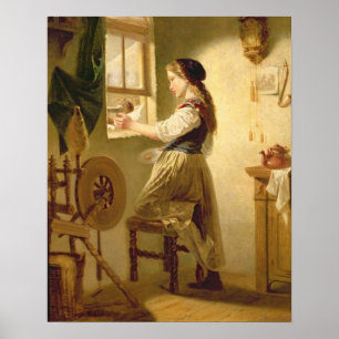 Affiche Nourrir les oiseaux en hiver