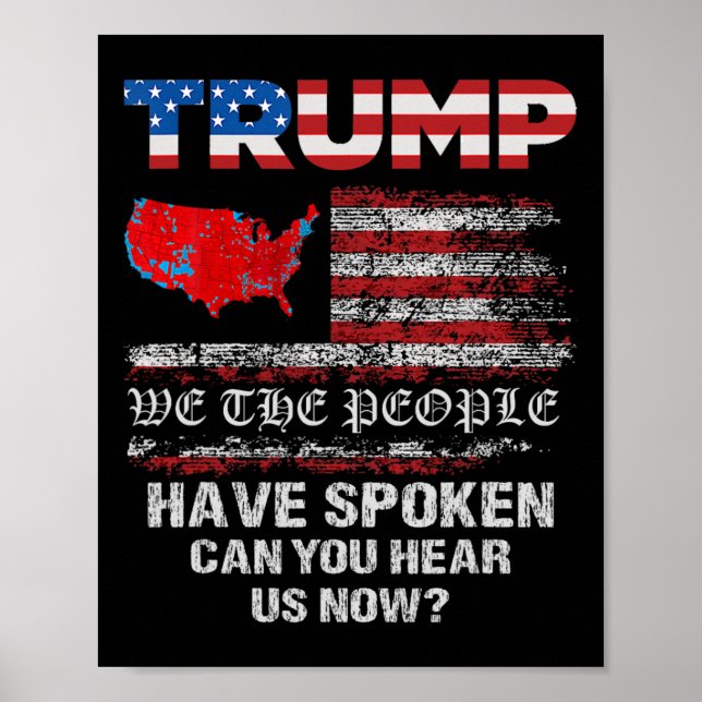 Affiche Nous, Le Peuple, Avons Parlé Des Élections América (Devant)