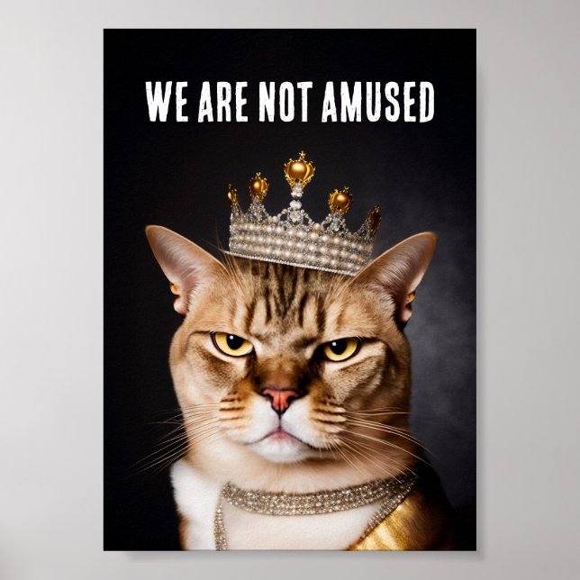 Affiche Nous Ne Sommes Pas Amusés À Porter Un Chat Grumpy  (Devant)