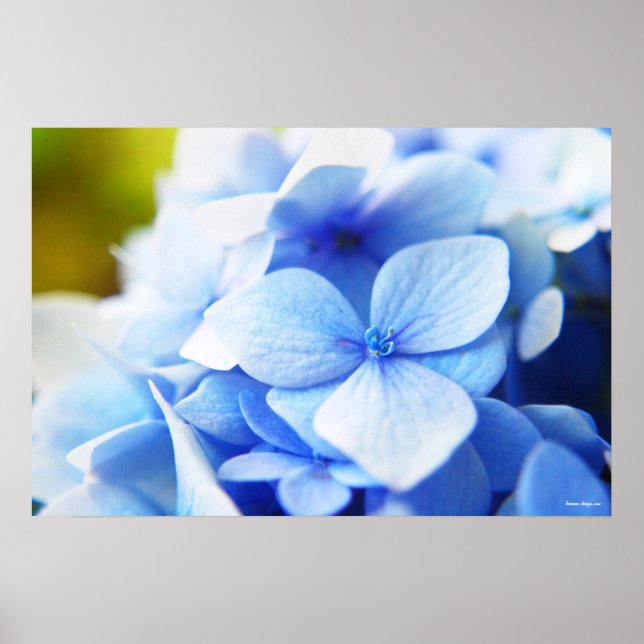 Affiche Nouveau blues (Devant)