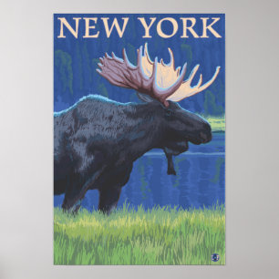 Affiche Nouveau YorkMoose dans le clair de lune
