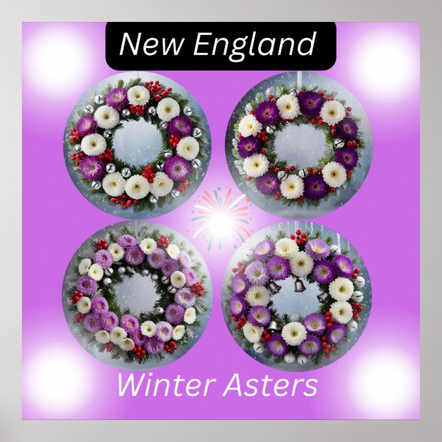 Affiche Nouvelle-Angleterre Hiver Asters Wath Wall Art (Devant)