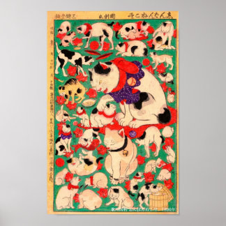 Affiche Nouvelle collection de chats