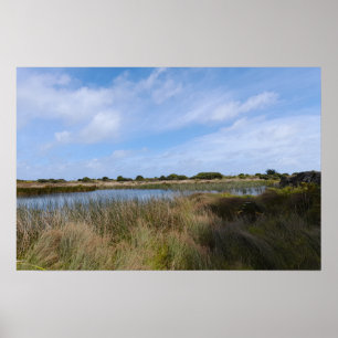 Affiche Nouvelle-Zélande côte ouest Auckland Whatipu Cave