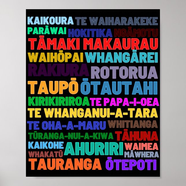 Affiche Nouvelle-Zélande Home & Holiday Places (Devant)