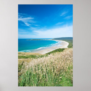 Affiche Nouvelle-Zélande, île du Sud, Catlins, baie de Tau