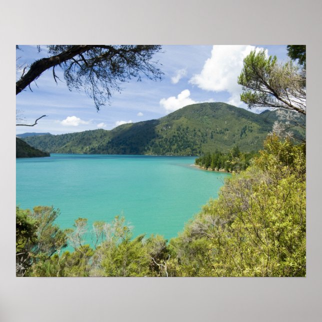 Affiche Nouvelle-Zélande, île du Sud, Marlborough Sounds. (Devant)