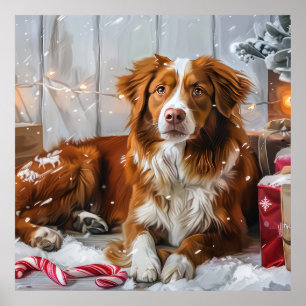 Affiche Nova Scotia Duck Tolling Retriever de Noël Festif