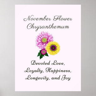 Affiche Novembre Mois de naissance Fleur Chrysanthème