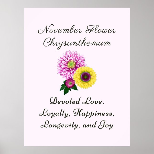 Affiche Novembre Mois de naissance Fleur Chrysanthème (Devant)