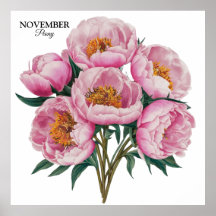 Novembre Peony Bloom - Cadeau d'anniversaire perso