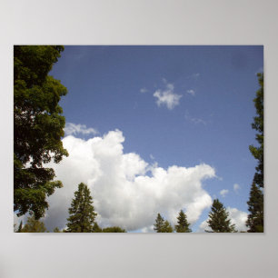 Affiche Nuages au-dessus des arbres