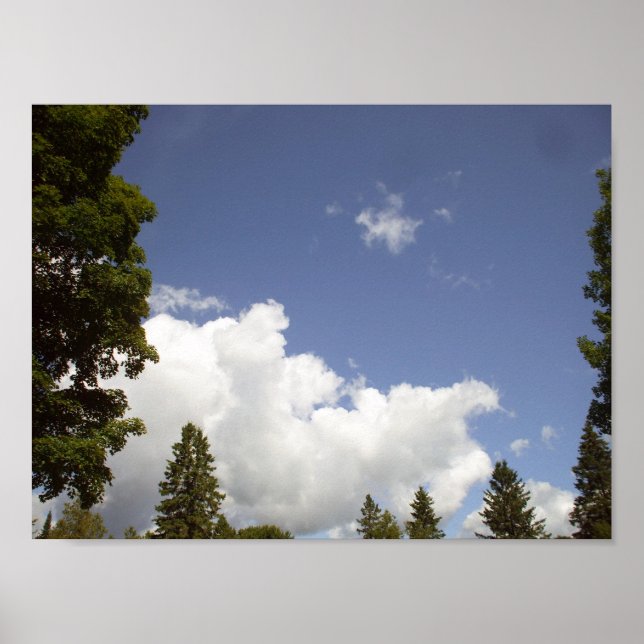 Affiche Nuages au-dessus des arbres (Devant)