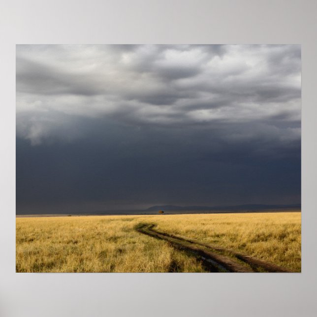 Affiche Nuages d'orage et route à travers les plaines gaze (Devant)